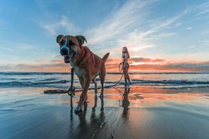 žena so psom na pláži